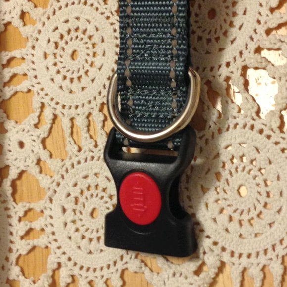 Joytale Pet Collar, Size Medium - Picture 6 of 8